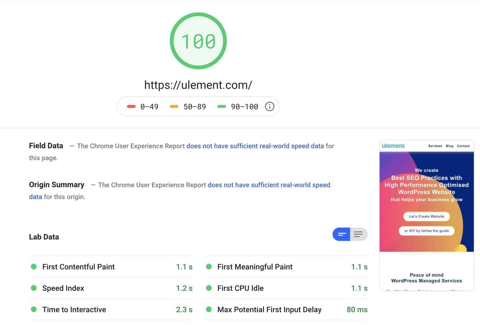 Google PageSpeed Insights Mobile 100