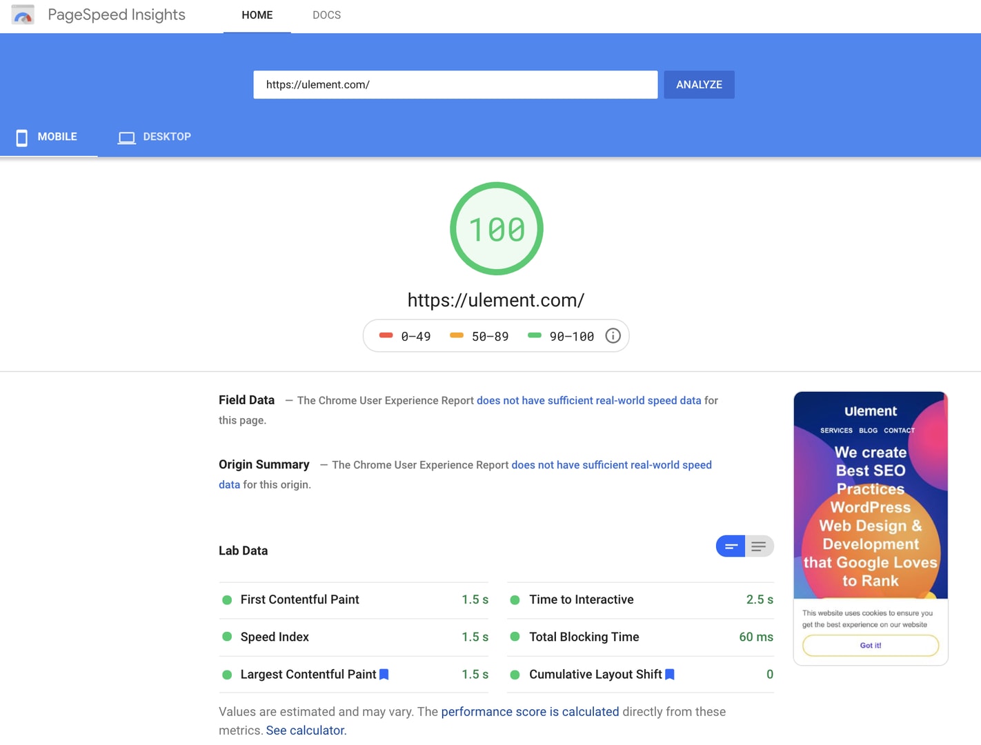 Google Page Speed Insights
