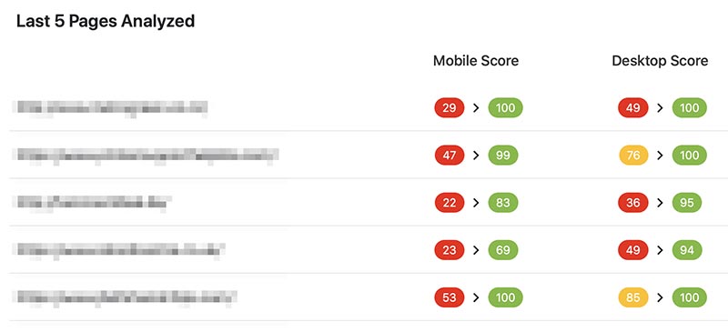 NitroPack Google PageSpeed focused speed optimisation tool
