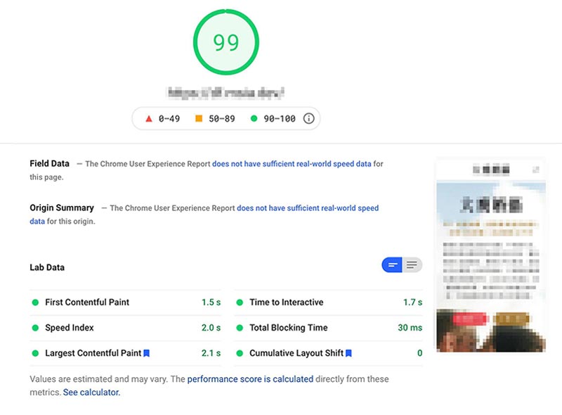 Convert Elementor to Gutenberg PageSpeed Insights score 99