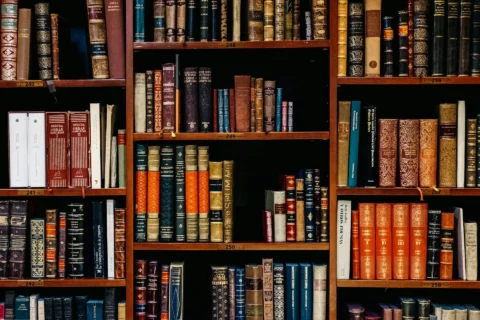 inaki del olmo nijueqw0rkg unsplash