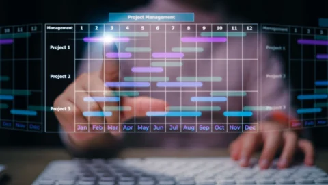 web design timeline